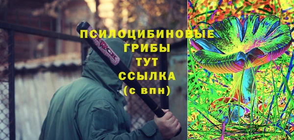 MDMA Premium VHQ Белокуриха