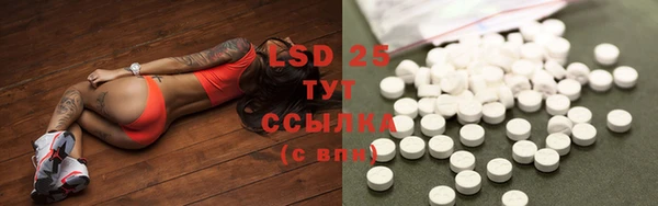 стафф Баксан