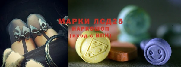 стафф Баксан