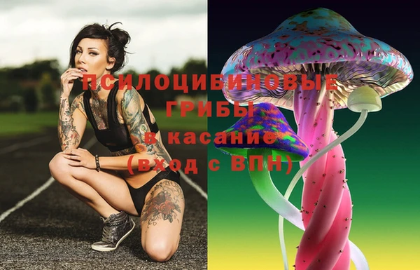 твердый Беломорск