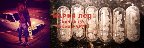 стафф Баксан